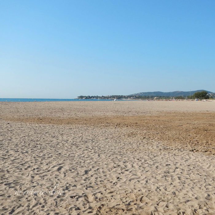 plaża dla psów na lazurowym wybrzeżu