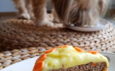 Tort dla psa – siódma rocznica adopcji Molly