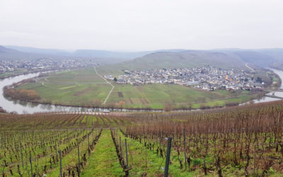 Dolina rzeki Mozela – zamki, widoki i wino.