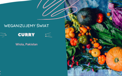 Curry. Wiola, Pakistan.